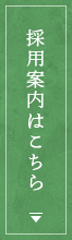 採用案内はこちら